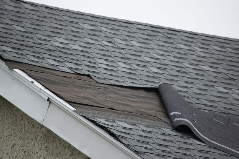 Missing Shingle Replacement